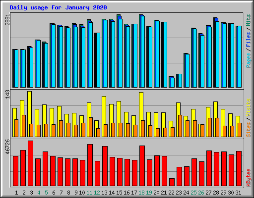 Daily usage for January 2020