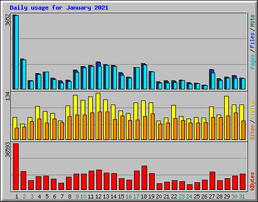 Daily usage for January 2021