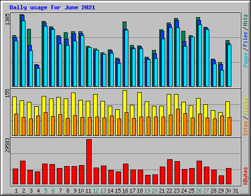 Daily usage for June 2021