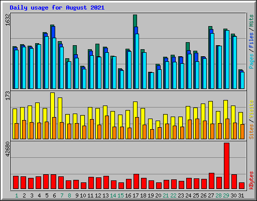 Daily usage for August 2021