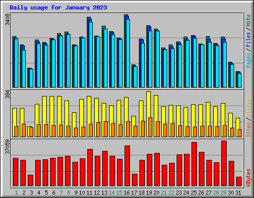 Daily usage for January 2023