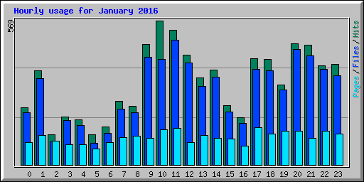 Hourly usage for January 2016