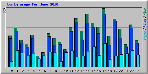Hourly usage for June 2016
