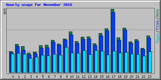 Hourly usage for November 2016
