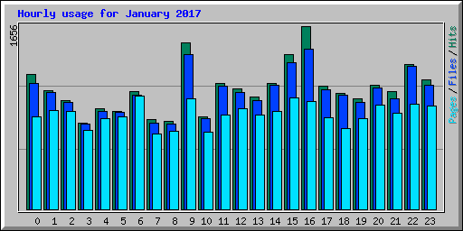 Hourly usage for January 2017