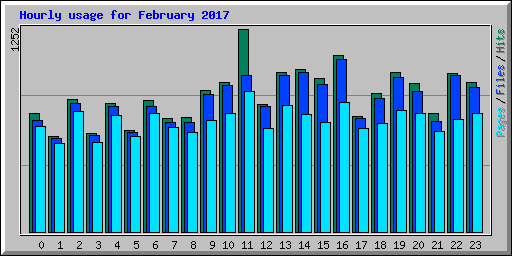 Hourly usage for February 2017