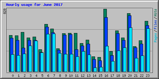 Hourly usage for June 2017