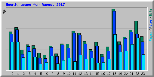 Hourly usage for August 2017