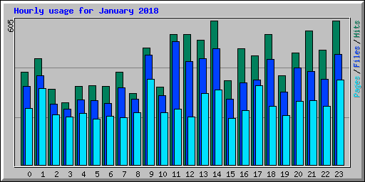 Hourly usage for January 2018