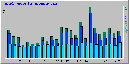 Hourly usage for November 2018