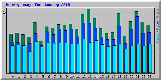 Hourly usage for January 2019