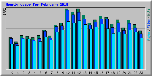 Hourly usage for February 2019