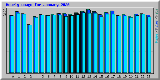 Hourly usage for January 2020