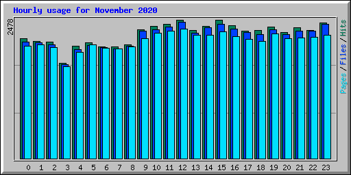 Hourly usage for November 2020