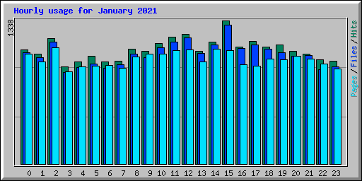 Hourly usage for January 2021
