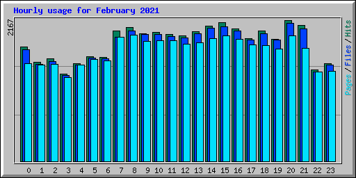 Hourly usage for February 2021