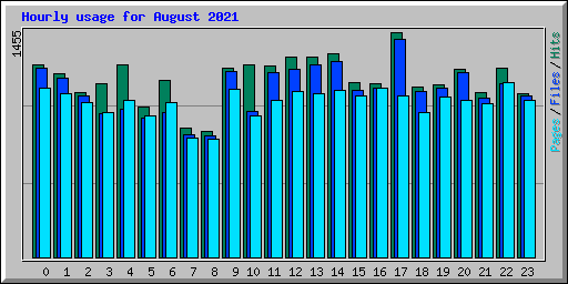 Hourly usage for August 2021