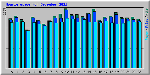 Hourly usage for December 2021