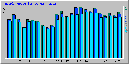 Hourly usage for January 2022