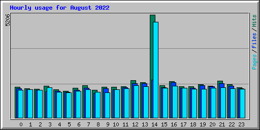 Hourly usage for August 2022