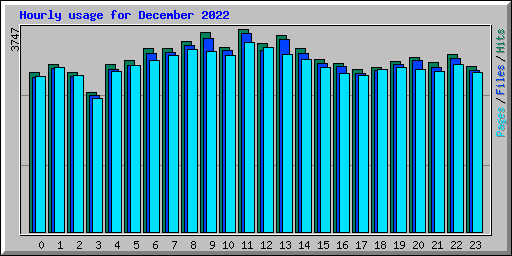 Hourly usage for December 2022
