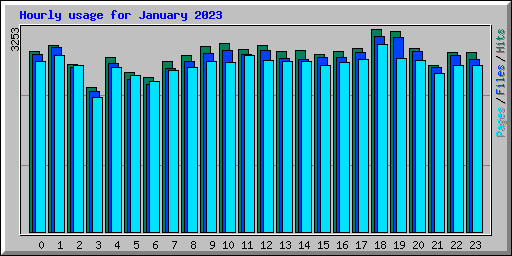 Hourly usage for January 2023